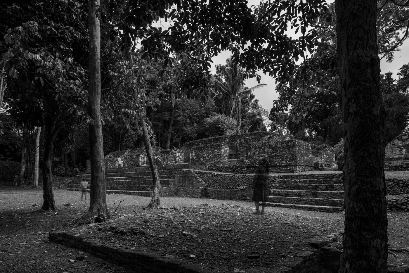 Ghostlike visitors among the forest ruins of Caracol