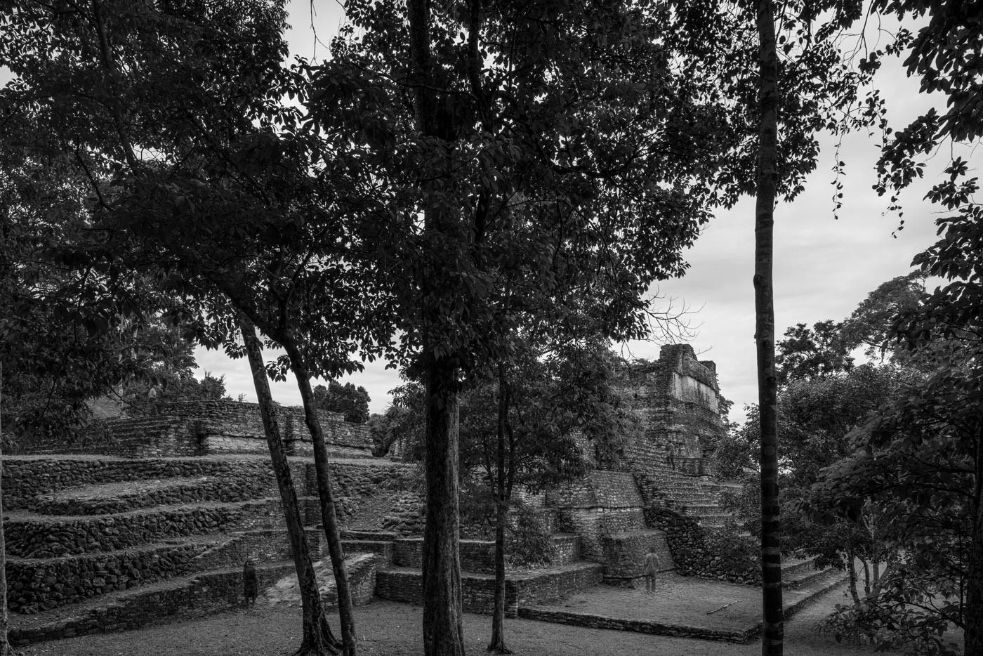 Faint figures returning among the forest and stone structures of Caracol