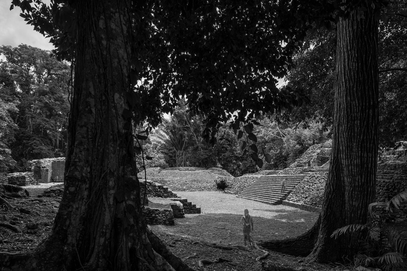 A ghostlike figure framed by ancient trees at Caracol