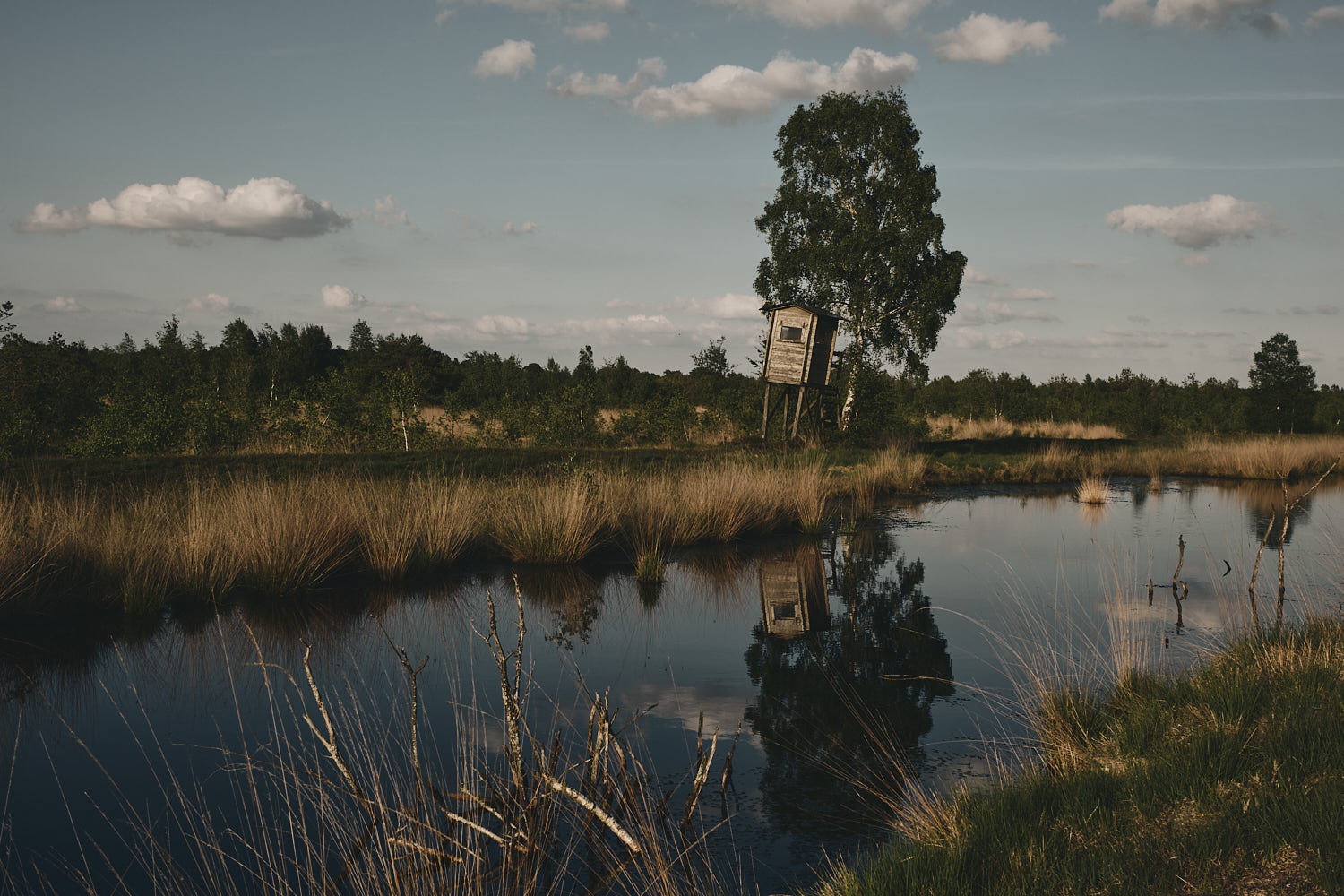 Raised hide beside a pond in evening light