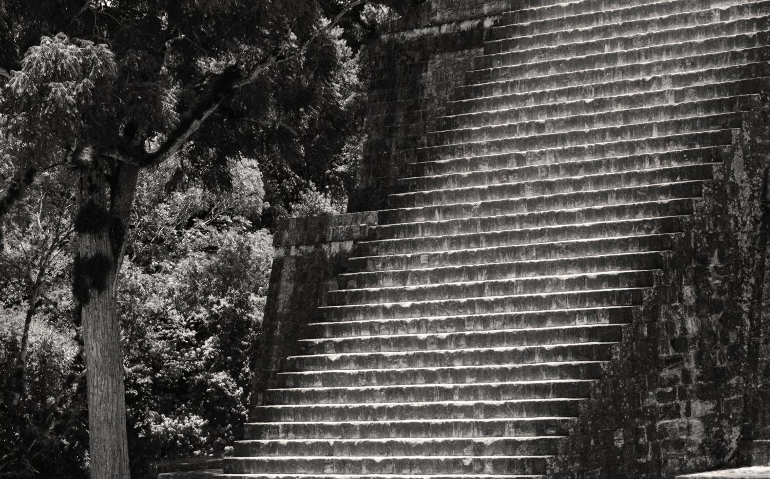 A spontaneous photograph made while travelling