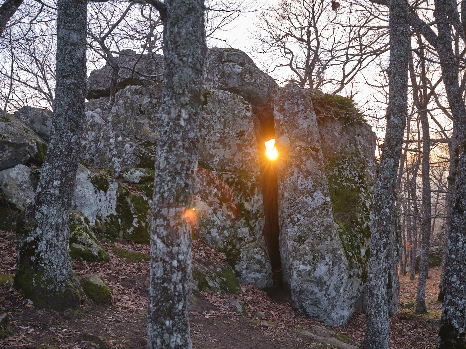 A spontaneous photograph made while travelling