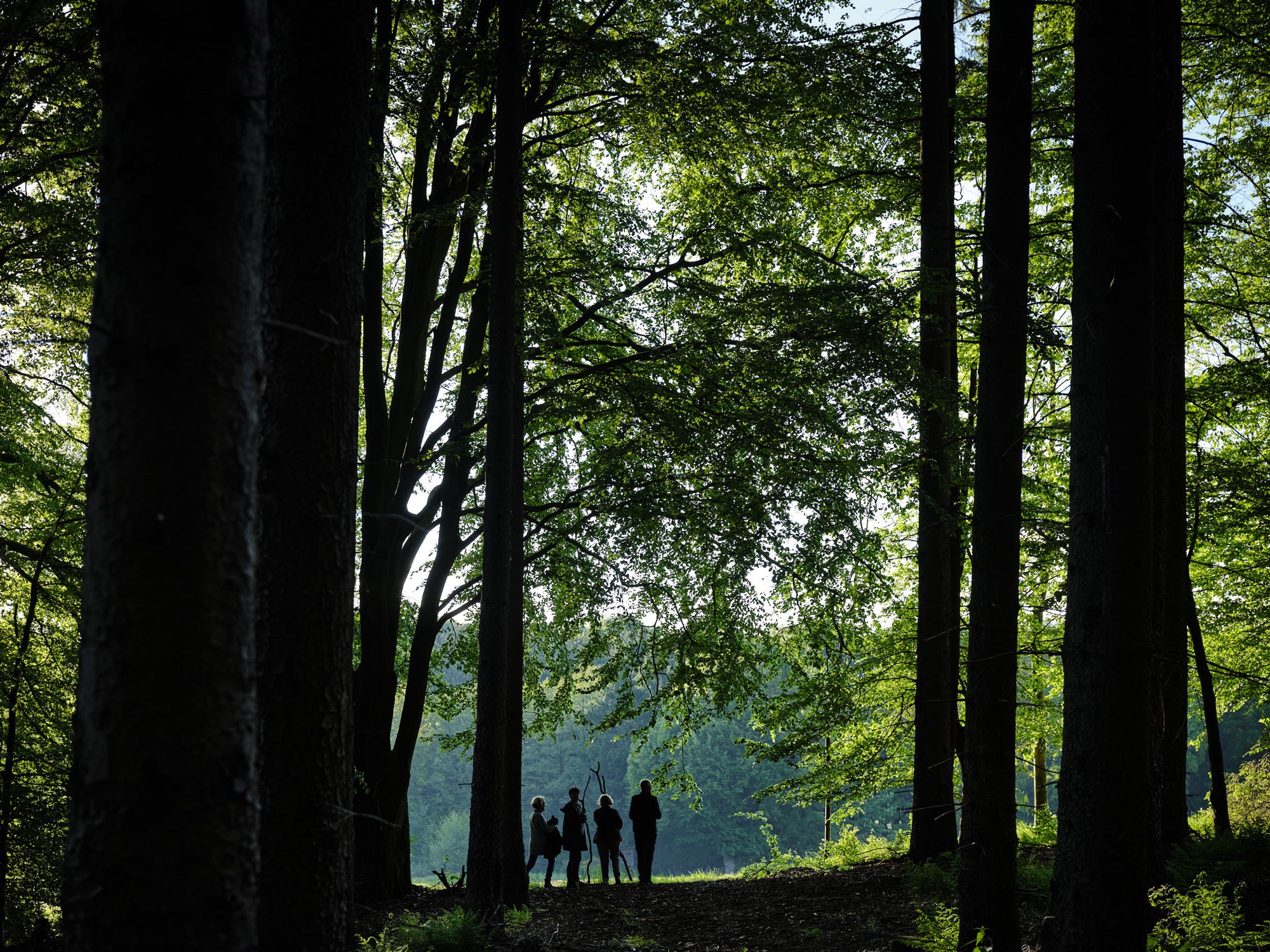 A spontaneous photograph made while travelling