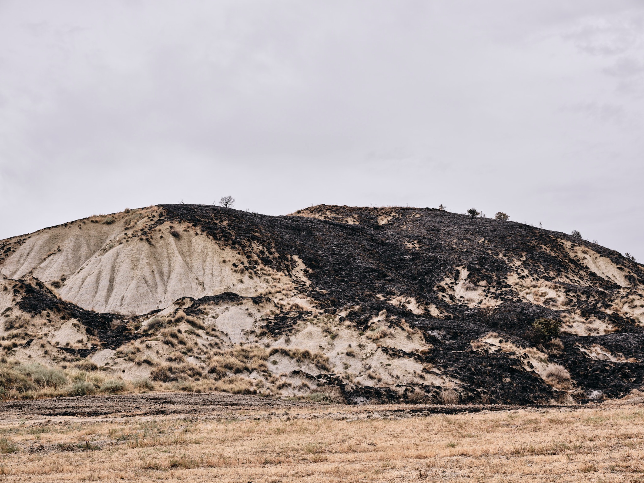 A spontaneous photograph made while travelling